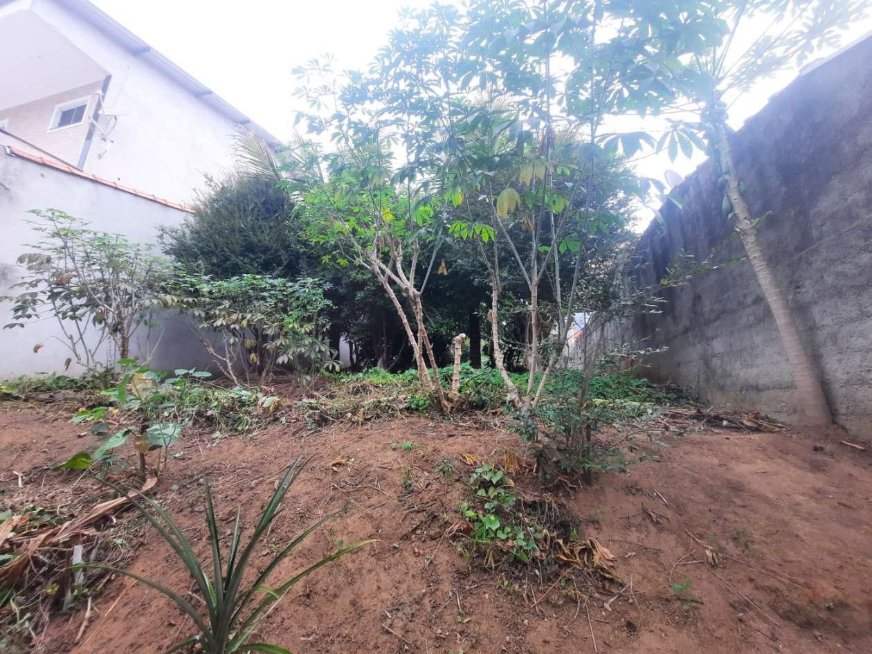 Imagem da propriedade