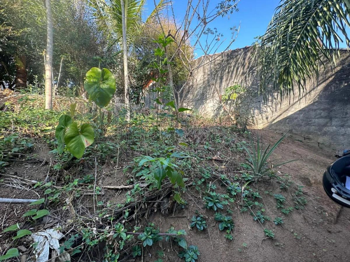 Imagem da propriedade