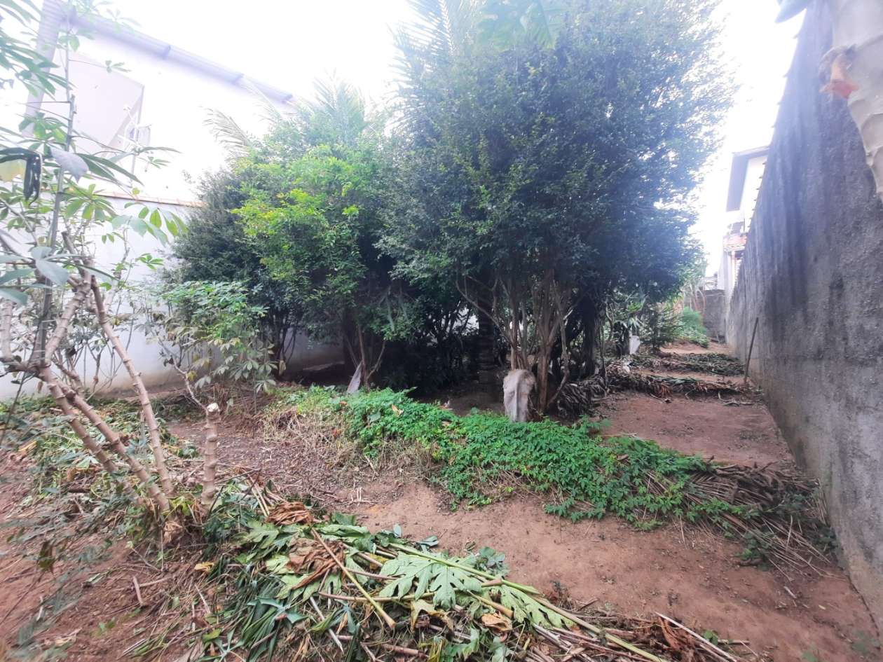 Imagem da propriedade