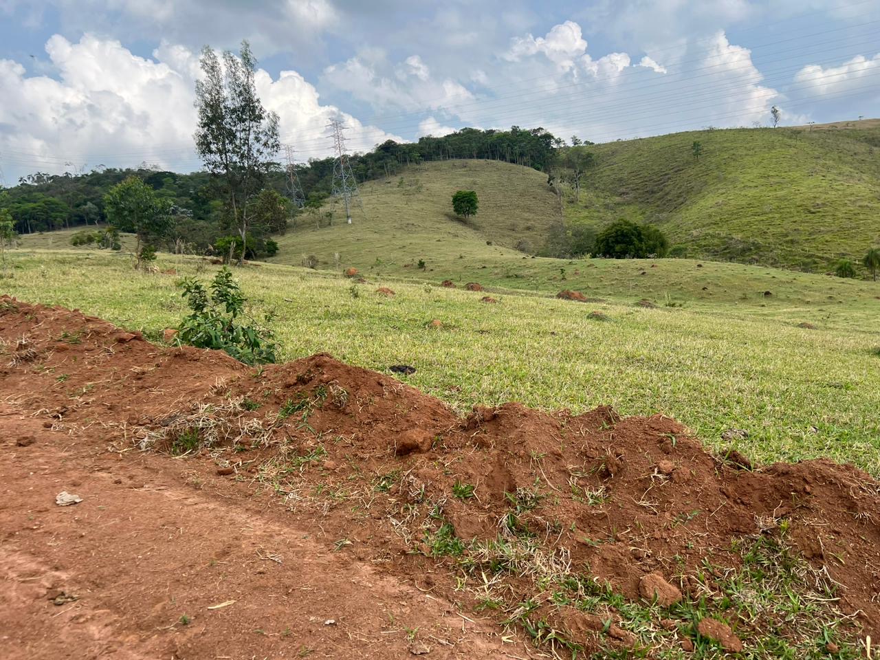 Imagem da propriedade