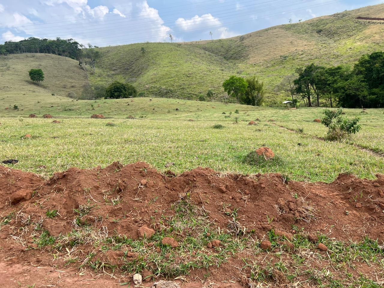 Imagem da propriedade