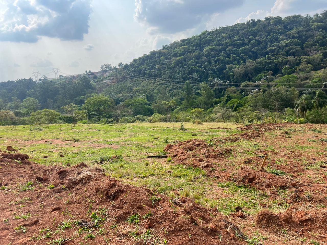 Imagem da propriedade