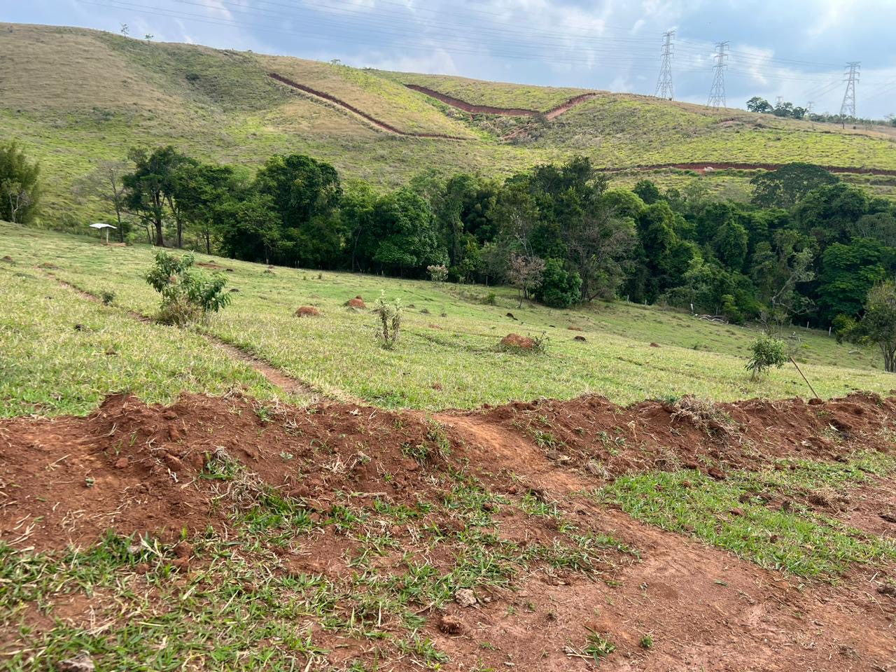 Imagem da propriedade