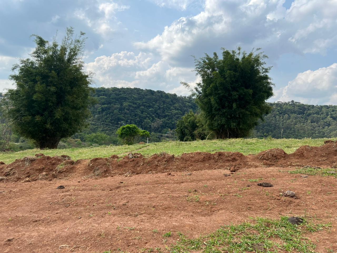 Imagem da propriedade