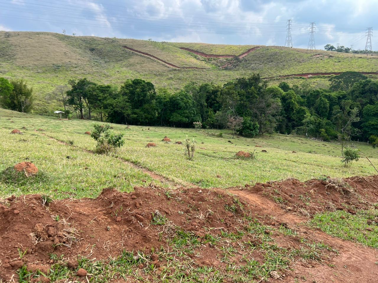 Imagem da propriedade