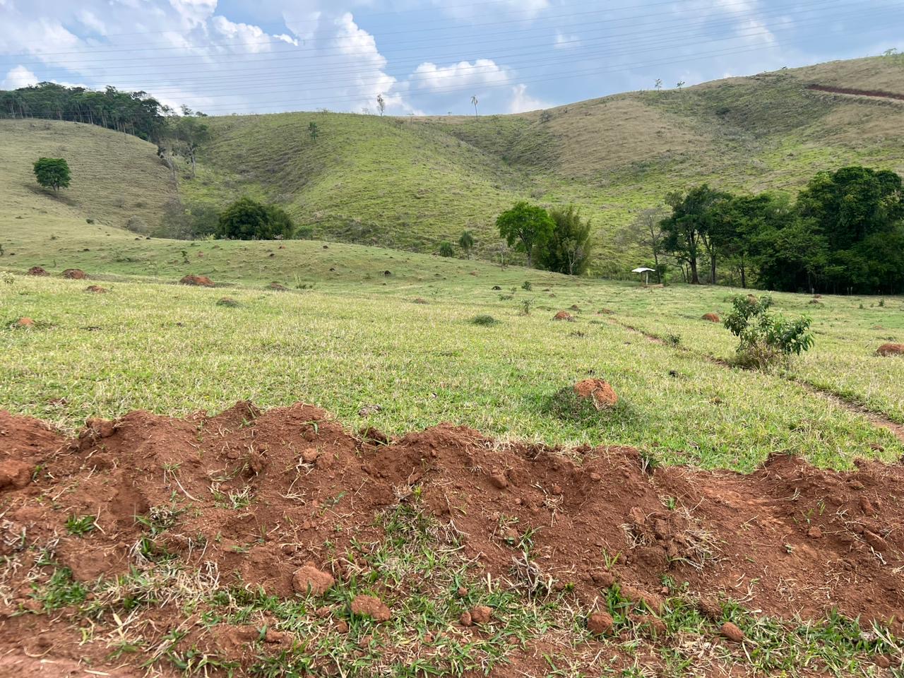 Imagem da propriedade