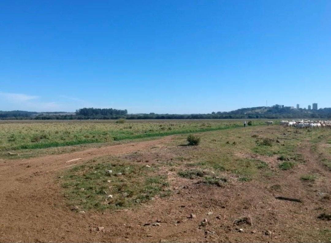 Imagem da propriedade