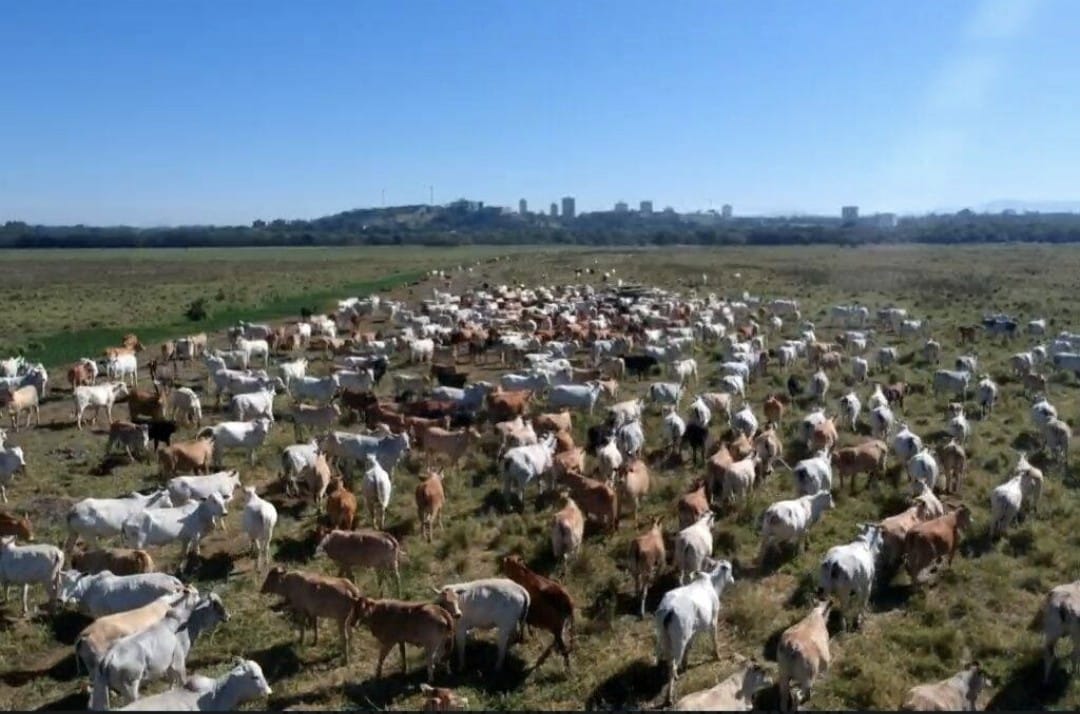 Imagem da propriedade