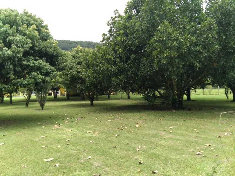 Imagem da propriedade